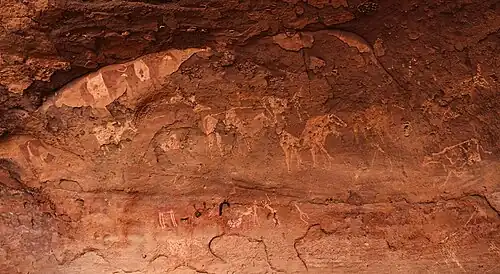 vee- en weidetaferelen