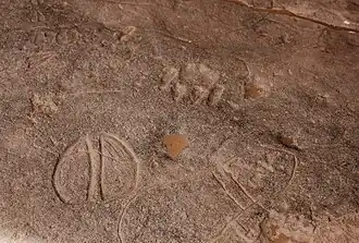 dierlijke voetafdrukken