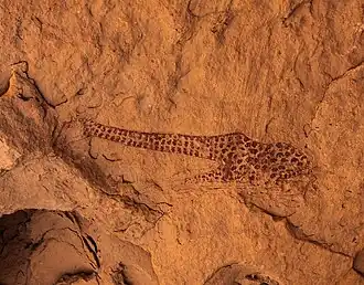 giraf met een vierkantpatroon in rode vlekken