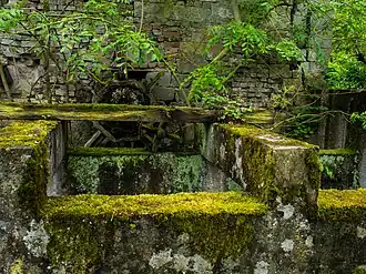 De molen overwoekerd door de natuur (2013)