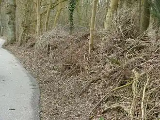 Links een fietspad; rechts daarvan een ongeveer 1,5 meter hoge langgerekte berg takken