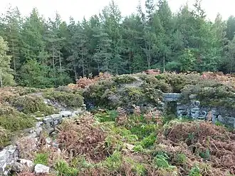 De binnenzijde van de Tappoch Broch. De deur net rechts van het midden van de foto geeft toegang tot de trap. Iets links van deze deuropening bevindt zich een kleine nis. Nog verder naar links is de toegangspassage tot de broch.