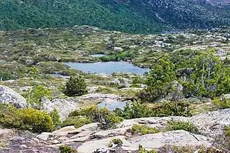 Nationaal park Mount Field