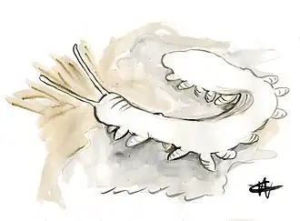 Tasmanipatus anophthalmus