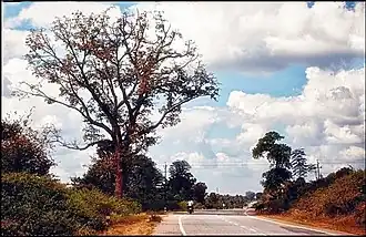 Hoofdweg Tata Kandra