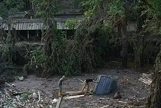 Verzorgers in de dierentuin bekijken de impact van de overstroming