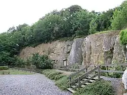 Rest van een koraalrif in Engis