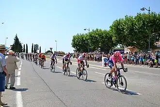Het peloton bij Rasteau