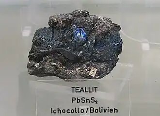 Tealliet uit Ichocollo, Bolivia