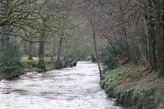 Rivier de Teign bij Dunsford