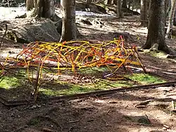 17 : Der Tiger des Herrn von Grimmelshausen (2000)