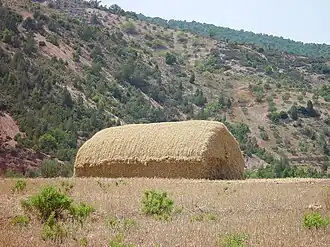 Opgeslagen hooi in Marokko