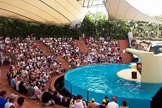 Zeeleeuwenshow in Loro Parque