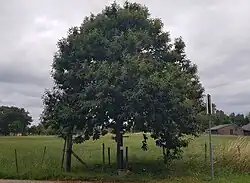 Wegkruis Karsvelderweg-Provinciale weg