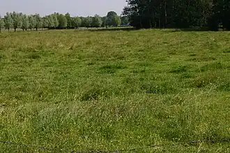 Het voormalige kloosterterrein