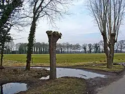 Terrein van de voormalige havezate Entinge te Bonnen