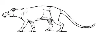 Tetraclaenodon