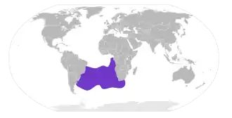 Atlantische geelneusalbatros