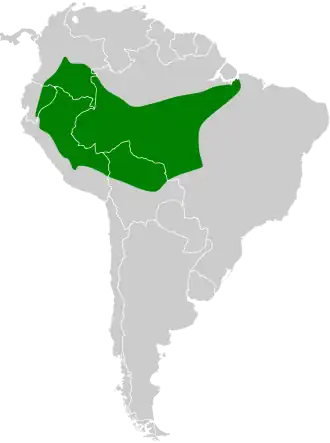 Leikleurige mierklauwier