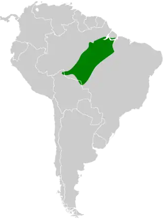 Natterers mierklauwier