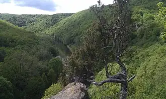 Nationaal Park Thayatal