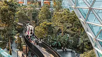 Wandelpad door ‘The Orchard’, een groene, tropische binnentuin in Hamad International Airport, met reizigers en een modern glazen dak op de achtergrond.