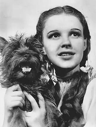 Terry als Toto met actrice Judy Garland in de musical The Wizard of Oz (1939)