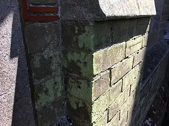 De UV-mos-associatie op een kerkmuur.