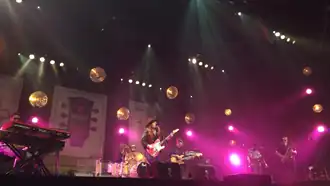 Tijdens Holland International Bluesfestival in Grolloo, 2018