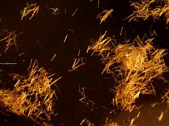 Kristallen zilverfulminaat