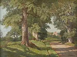 Waldstraße mit Ausblick auf eine Lichtung