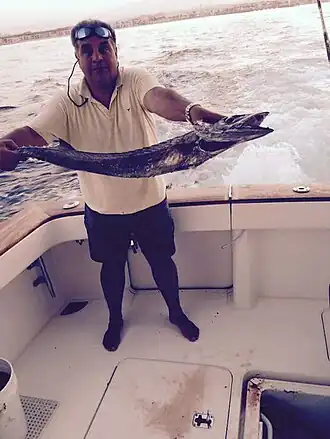 Thyrsitoides marleyi