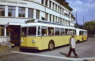 Trolleybus Thun - Beatenbucht
