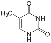 Structuurformule van thymine