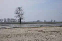 Natuurontwikkeling op Tiengemeten.