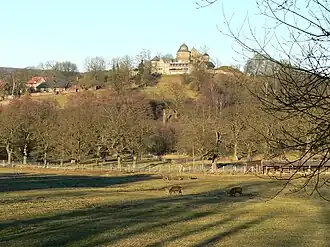 Zicht vanuit het park op de Sababurg