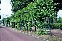 Leilinden in Garderen