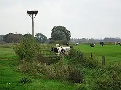 omgeving Ossenbrucker Feld