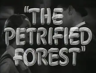 The Petrified Forest