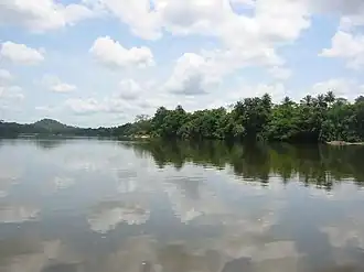 Het eiland Tiwai in Zuid-Sierra Leone.