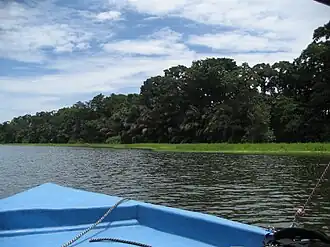 Toegangskanaal naar Tortuguero