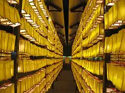 The Mitama Matsuri festival in Yasukuni Jinja