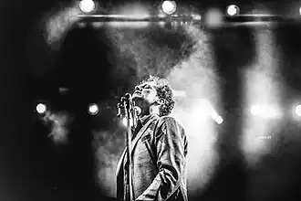 Pintens op het Dranouterfestival in 2017