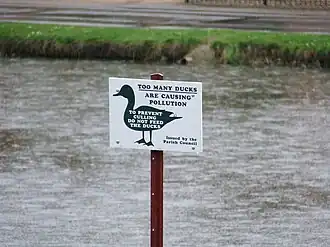Waarschuwingsbord: Overmaat aan eenden geeft vervuiling. Voer de eenden niet, zodat ze niet afgemaakt hoeven te worden.