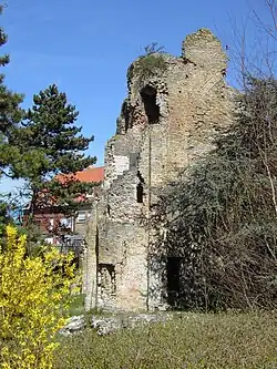 Torenruïne Sint-Laurentiustoren