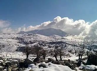 Pico Torrecilla gezien vanaf Puerto de los Pilones, nationaal park Sierra de las Nieves
