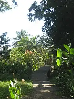 Verhoogde 'straat' tegen overstromingen in Tortuguero