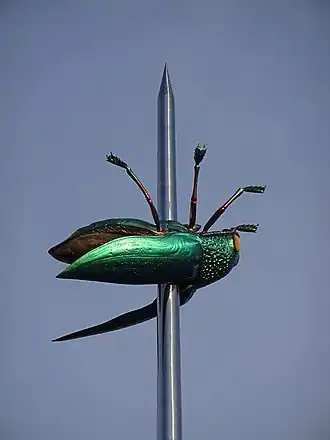 Het kunstwerk "Totem" op het Ladeuzeplein in Leuven bestaat uit een 23 m hoge naald met daarop een kever (van de familie Buprestidae) geprikt, als ware het een deel van een entomologische collectie, 450x uitvergroot