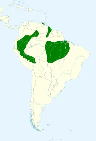 Roodschouderpapegaai