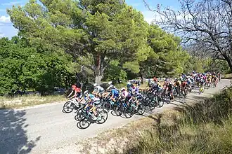 Het peloton tijdens de 3e etappe